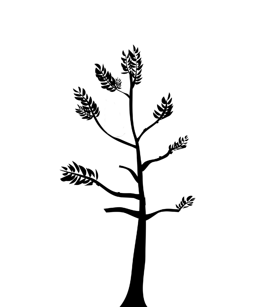 silhouette of a tree which has undergone formative pruning